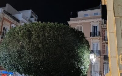 VIGILIA DE LA INMACULADA de 2025